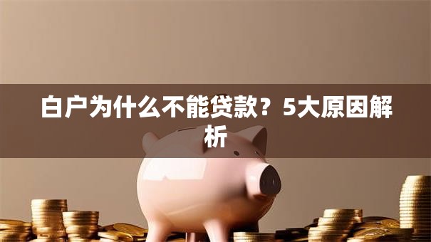 白户为什么不能贷款？5大原因解析