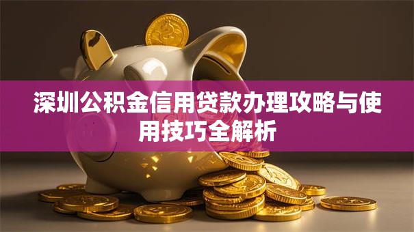 深圳公积金信用贷款办理攻略与使用技巧全解析