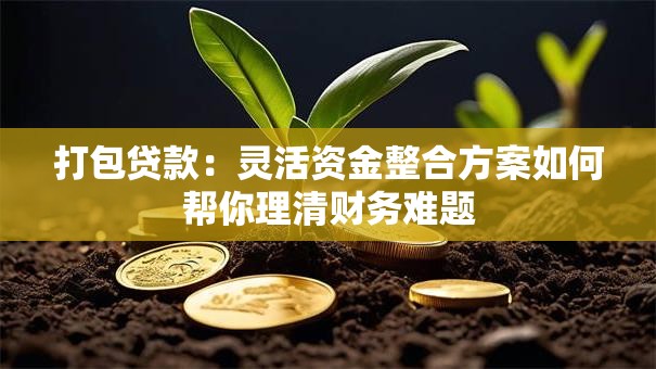 打包贷款：灵活资金整合方案如何帮你理清财务难题