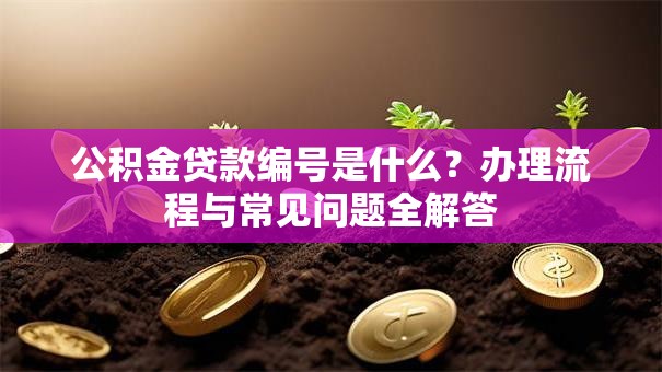 公积金贷款编号是什么？办理流程与常见问题全解答