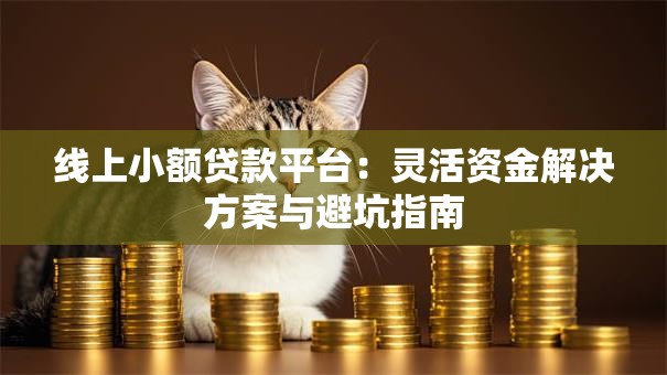 线上小额贷款平台:灵活资金解决方案与避坑指南 线上小额贷款平台:灵活资金解决方案与避坑指南