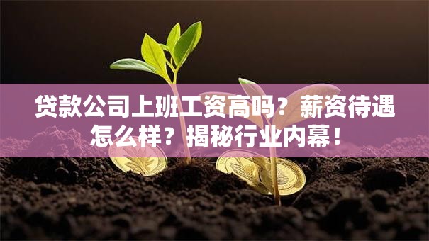 贷款公司上班工资高吗?薪资待遇怎么样?揭秘行业内幕! 贷款公司上班工资高吗?薪资待遇怎么样?揭秘行业内幕!