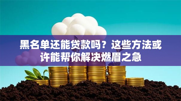 黑名单还能贷款吗？这些方法或许能帮你解决燃眉之急