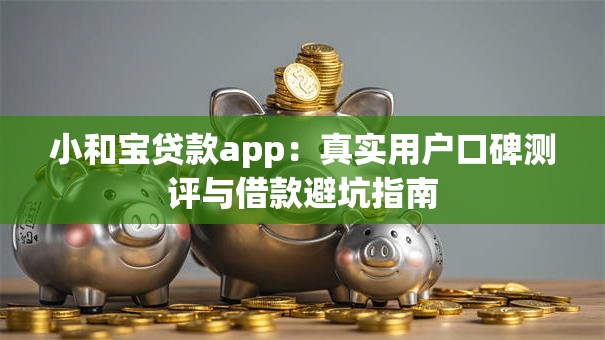 小和宝贷款app：真实用户口碑测评与借款避坑指南