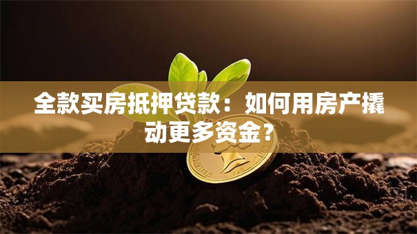 全款买房抵押贷款：如何用房产撬动更多资金？