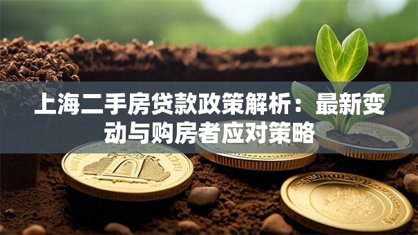 上海二手房贷款政策解析:最新变动与购房者应对策略 上海二手房贷款政策解析:最新变动与购房者应对策略