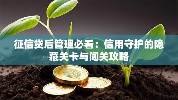征信贷后管理必看：信用守护的隐藏关卡与闯关攻略