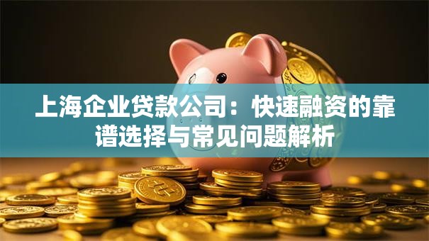 上海企业贷款公司:快速融资的靠谱选择与常见问题解析 上海企业贷款公司:快速融资的靠谱选择与常见问题解析