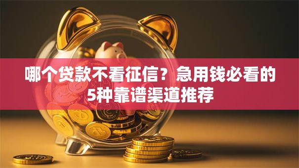 哪个贷款不看征信?急用钱必看的5种靠谱渠道推荐 哪个贷款不看征信?急用钱必看的5种靠谱渠道推荐