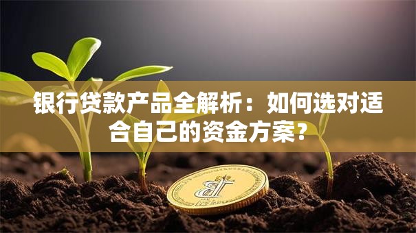 银行贷款产品全解析：如何选对适合自己的资金方案？
