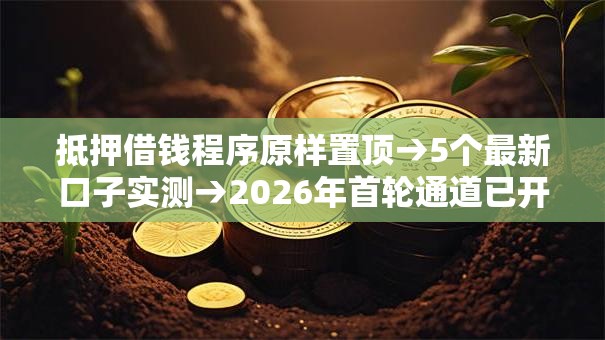 抵押借钱程序原样置顶→5个最新口子实测→2026年首轮通道已开→黑户无工作救急攻略曝光→独家秒批低门槛方案！