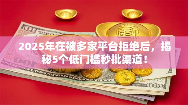 2025年在被多家平台拒绝后，揭秘5个低门槛秒批渠道！