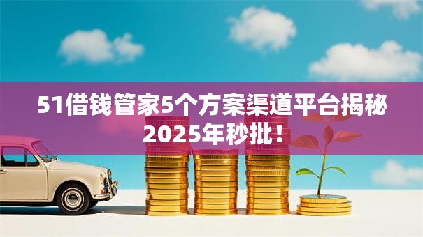 51借钱管家5个方案渠道平台揭秘2025年秒批！