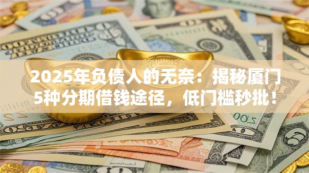 2025年负债人的无奈：揭秘厦门5种分期借钱途径，低门槛秒批！