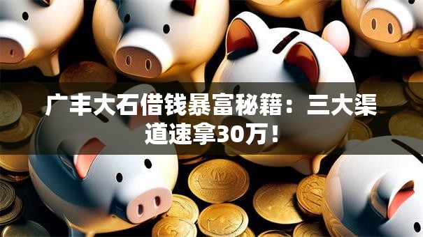 广丰大石借钱暴富秘籍：三大渠道速拿30万！