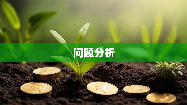 问题分析