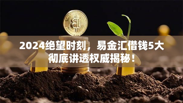 2024绝望时刻，易金汇借钱5大彻底讲透权威揭秘！
