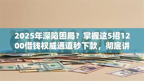 2025年深陷困局？掌握这5招1200借钱权威通道秒下款，彻底讲透！