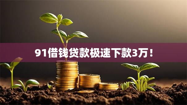 91借钱贷款极速下款3万！
