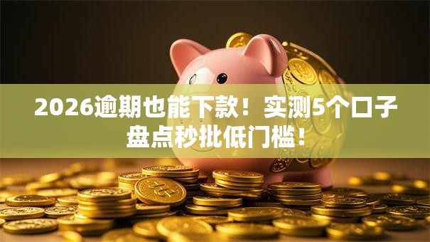 2026逾期也能下款！实测5个口子盘点秒批低门槛！
