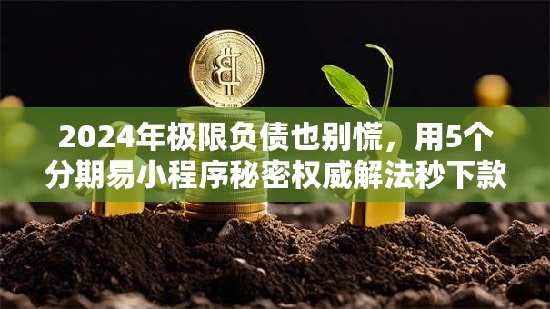 2024年极限负债也别慌，用5个分期易小程序秘密权威解法秒下款！