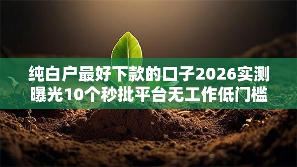 纯白户最好下款的口子2026实测曝光10个秒批平台无工作低门槛秒下! 纯白户最好下款的口子2026实测曝光10个秒批平台无工作低门槛秒下!