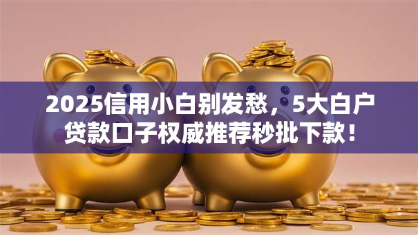 2025信用小白别发愁，5大白户贷款口子权威推荐秒批下款！