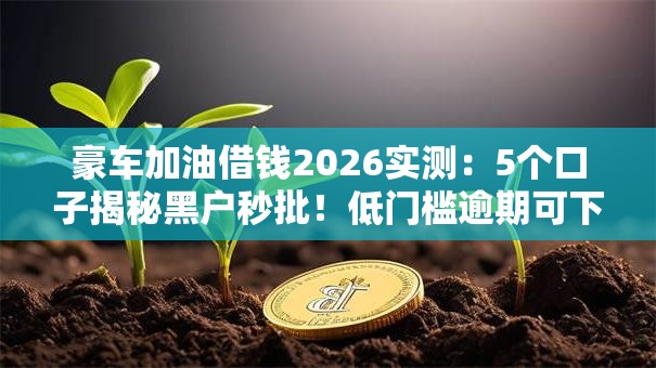 豪车加油借钱2026实测：5个口子揭秘黑户秒批！低门槛逾期可下款！