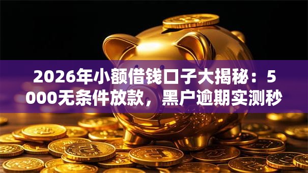 2026年小额借钱口子大揭秘：5000无条件放款，黑户逾期实测秒下！
