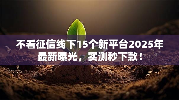 不看征信线下15个新平台2025年最新曝光，实测秒下款！