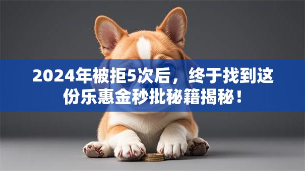 2024年被拒5次后，终于找到这份乐惠金秒批秘籍揭秘！