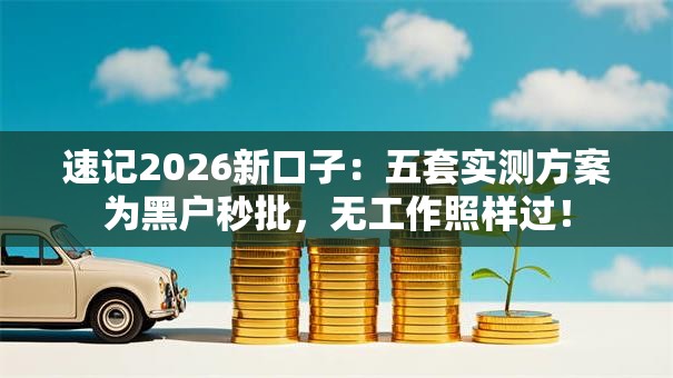 速记2026新口子：五套实测方案为黑户秒批，无工作照样过！