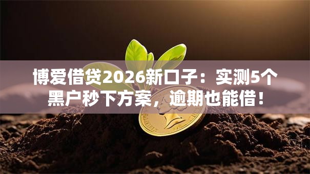 博爱借贷2026新口子:实测5个黑户秒下方案,逾期也能借! 博爱借贷2026新口子:实测5个黑户秒下方案,逾期也能借!