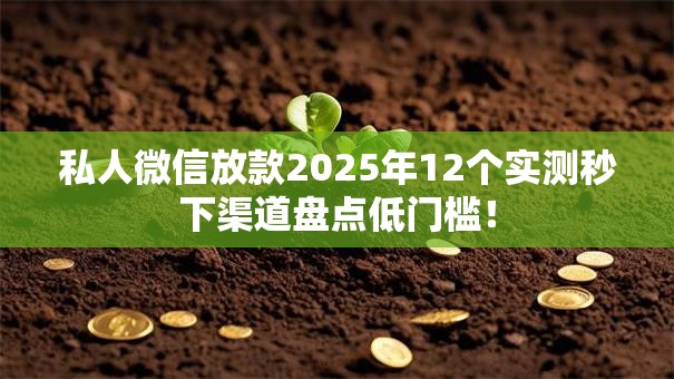 私人微信放款2025年12个实测秒下渠道盘点低门槛! 私人微信放款2025年12个实测秒下渠道盘点低门槛!