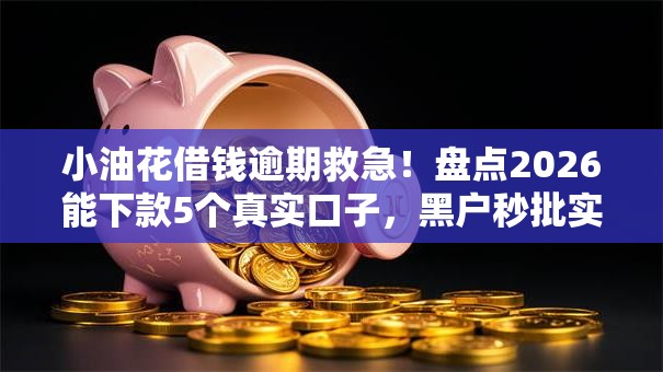 小油花借钱逾期救急!盘点2026能下款5个真实口子,黑户秒批实测! 小油花借钱逾期救急!盘点2026能下款5个真实口子,黑户秒批实测!