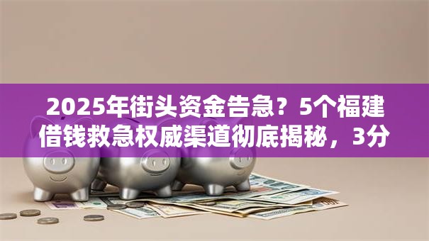 2025年街头资金告急？5个福建借钱救急权威渠道彻底揭秘，3分钟下款！