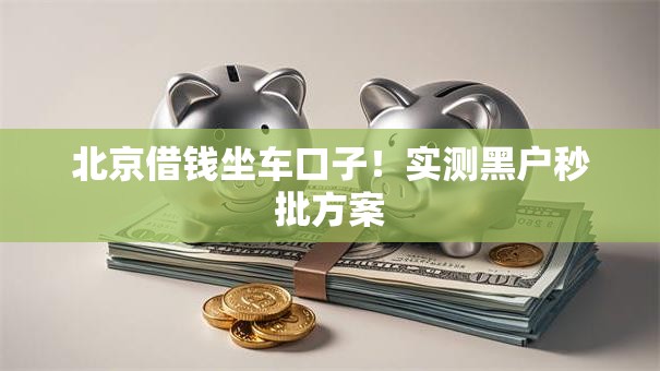 北京借钱坐车口子！实测黑户秒批方案