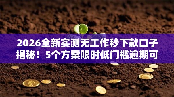 2026全新实测无工作秒下款口子揭秘！5个方案限时低门槛逾期可试！