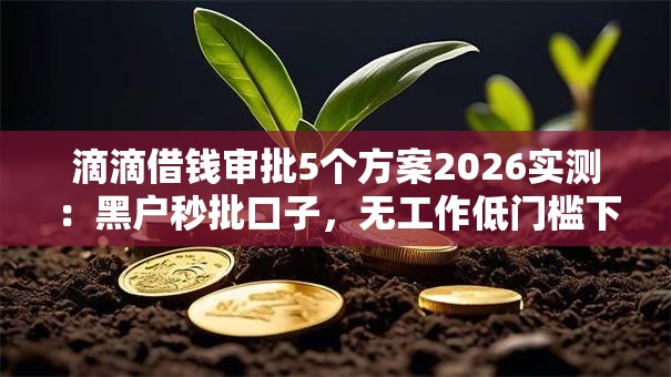 滴滴借钱审批5个方案2026实测：黑户秒批口子，无工作低门槛下款！