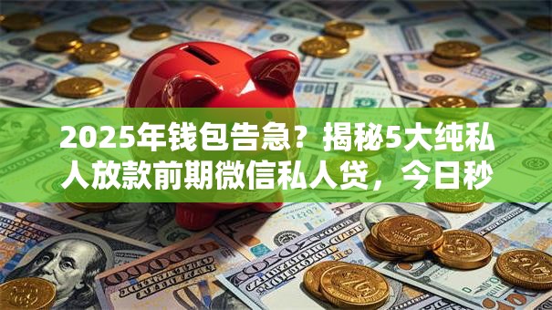 2025年钱包告急?揭秘5大纯私人放款前期微信私人贷,今日秒批! 2025年钱包告急?揭秘5大纯私人放款前期微信私人贷,今日秒批!