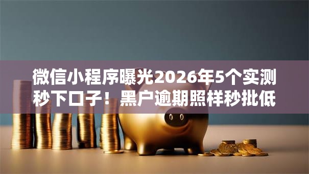 微信小程序曝光2026年5个实测秒下口子！黑户逾期照样秒批低门槛！