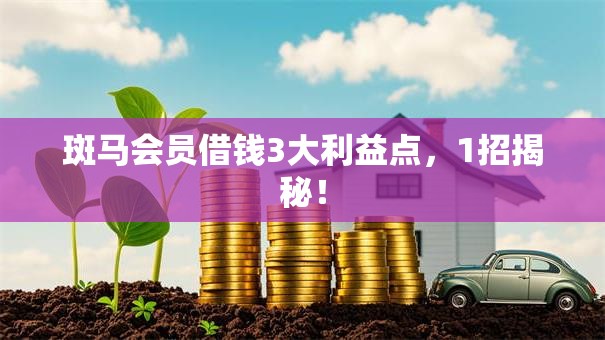 斑马会员借钱3大利益点，1招揭秘！