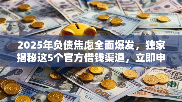 2025年负债焦虑全面爆发，独家揭秘这5个官方借钱渠道，立即申请秒批！