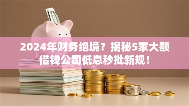 2024年财务绝境？揭秘5家大额借钱公司低息秒批新规！
