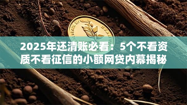 2025年还清账必看：5个不看资质不看征信的小额网贷内幕揭秘！