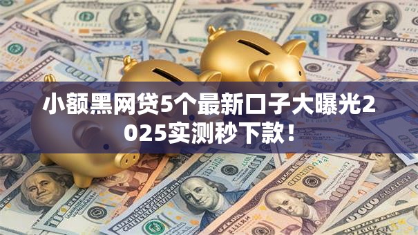小额黑网贷5个最新口子大曝光2025实测秒下款！