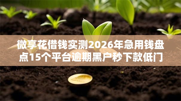 微享花借钱实测2026年急用钱盘点15个平台逾期黑户秒下款低门槛实测可下！