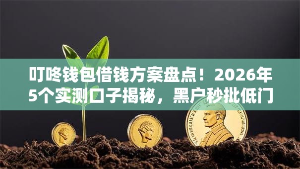 叮咚钱包借钱方案盘点！2026年5个实测口子揭秘，黑户秒批低门槛！