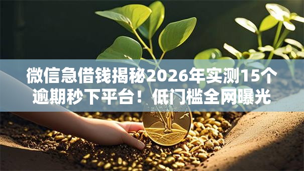 微信急借钱揭秘2026年实测15个逾期秒下平台!低门槛全网曝光黑户可下 微信急借钱揭秘2026年实测15个逾期秒下平台!低门槛全网曝光黑户可下