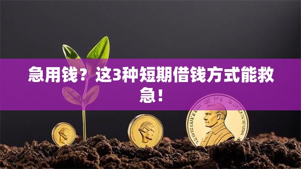 急用钱？这3种短期借钱方式能救急！